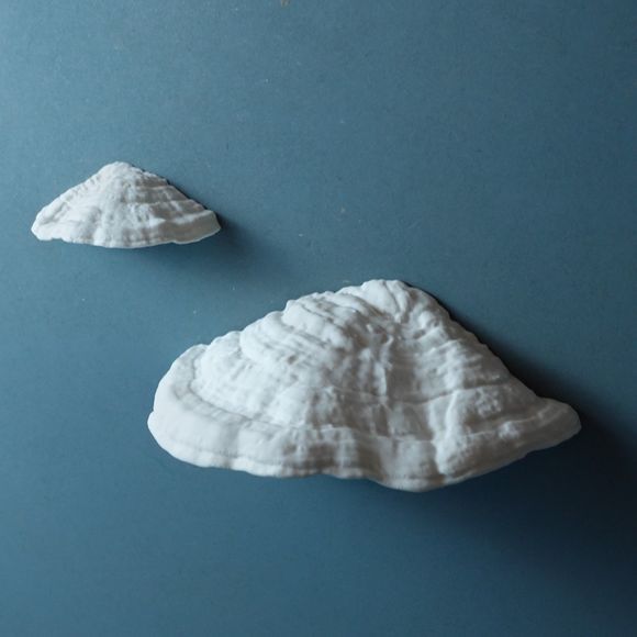 Carnosum Fungus Magnetic Key Holder for Party, Living Room, Bedroom - Picture 8 of 9